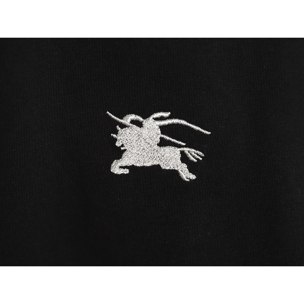 Burberry Terry Logo Embroidered Short-Sleeve T-Shirt TSK1,Burberry
