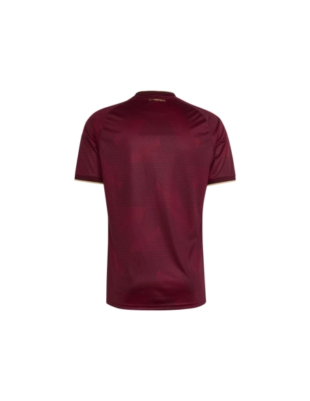 2026 Venezuela Home Jersey,2026 World Cup,JERSEY,APPAREL