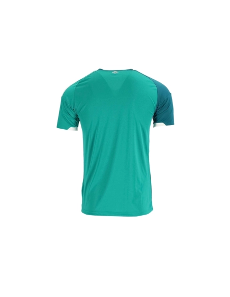 2026 Northern Ireland Home Jersey,2026 World Cup,JERSEY,APPAREL