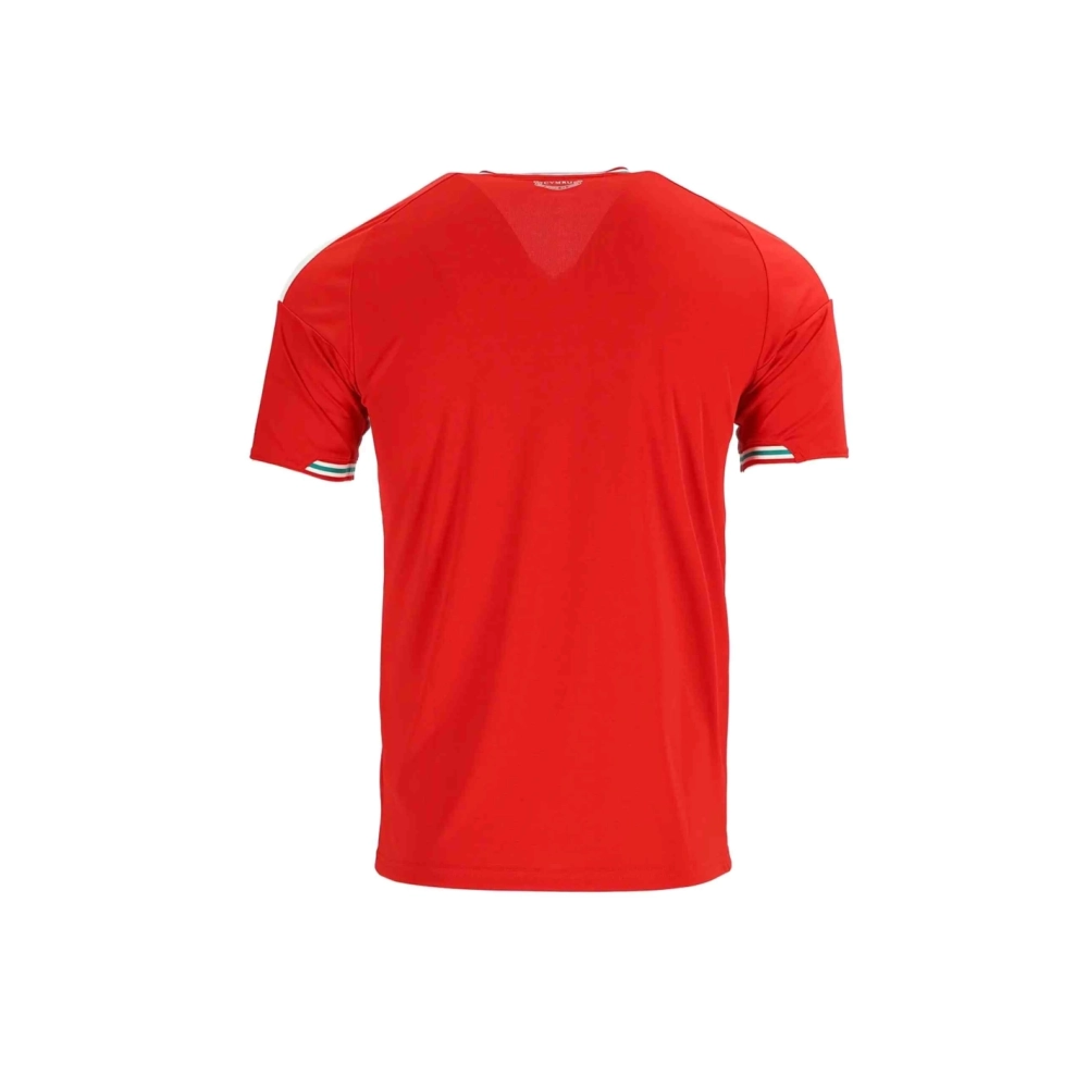 2026 Wales Home Jersey,2026 World Cup,JERSEY,APPAREL