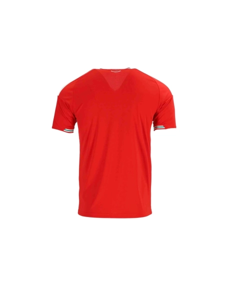 2026 Wales Home Jersey,2026 World Cup,JERSEY,APPAREL