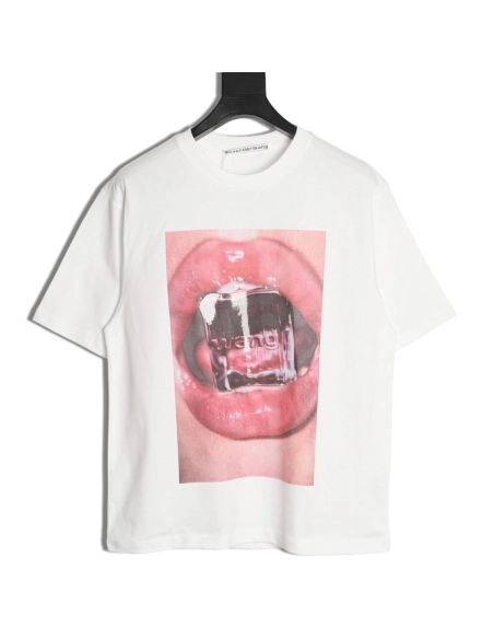 Alexander Wang Ice Cube Print Short-Sleeve T-Shirt,Alexander Wang