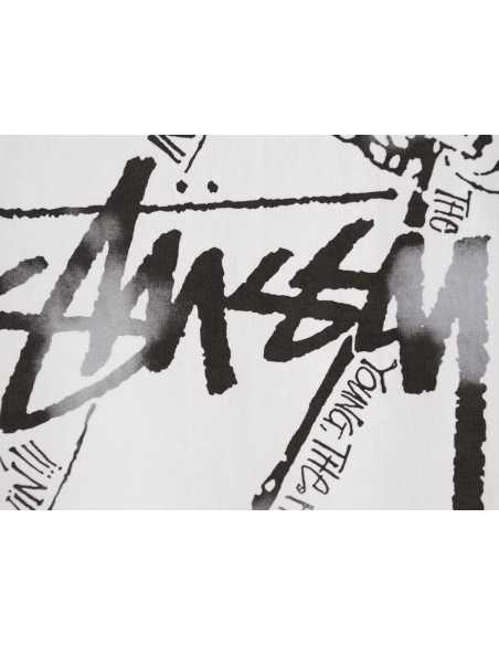 St¨¹ssy Skateboard Graphic Print Crewneck Short-Sleeve T-Shirt,Stussy
