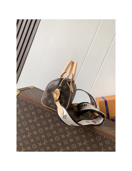 Louis Vuitton Speedy Bandouliere 20 Bags M46234 20.5X13.5X12cm,Louis Vuitton Bags