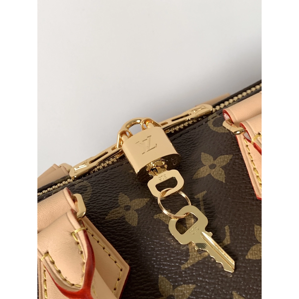 Louis Vuitton Speedy Bandouliere 20 Bags M46234 20.5X13.5X12cm,Louis Vuitton Bags