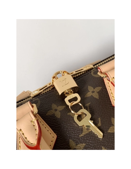 Louis Vuitton Speedy Bandouliere 20 Bags M46234 20.5X13.5X12cm,Louis Vuitton Bags
