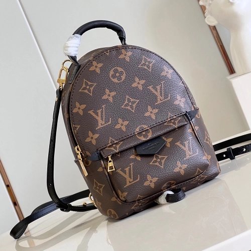 Louis Vuitton Palm Springs Mini Bags M44873 22X17X10cm,Louis Vuitton Bags