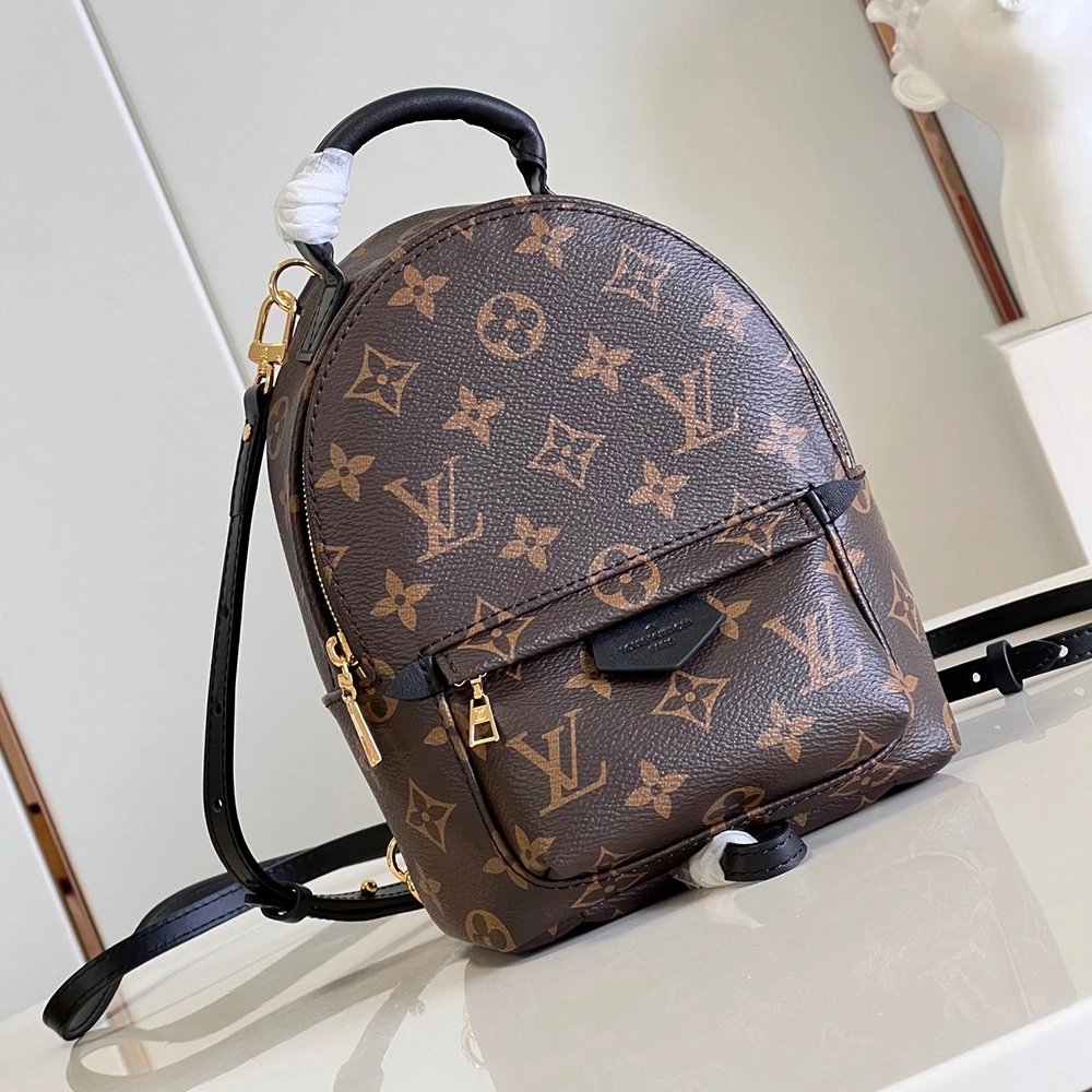 Louis Vuitton Palm Springs Mini Bags M44873 22X17X10cm,Louis Vuitton Bags