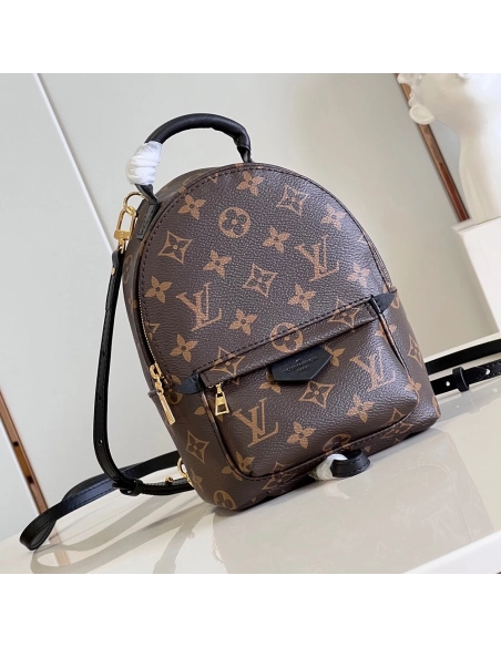 Louis Vuitton Palm Springs Mini Bags M44873 22X17X10cm,Louis Vuitton Bags