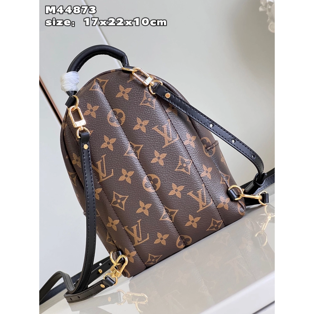 Louis Vuitton Palm Springs Mini Bags M44873 22X17X10cm,Louis Vuitton Bags