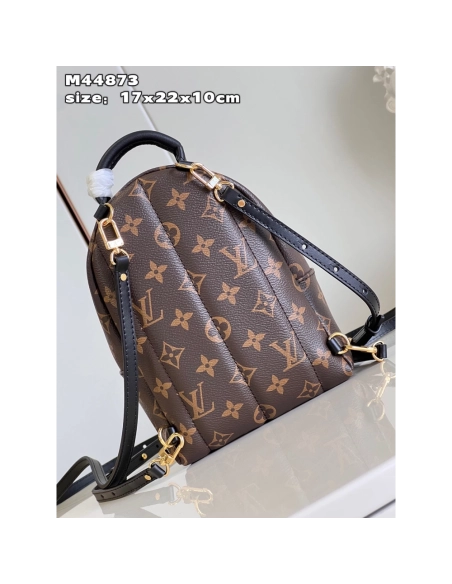 Louis Vuitton Palm Springs Mini Bags M44873 22X17X10cm,Louis Vuitton Bags