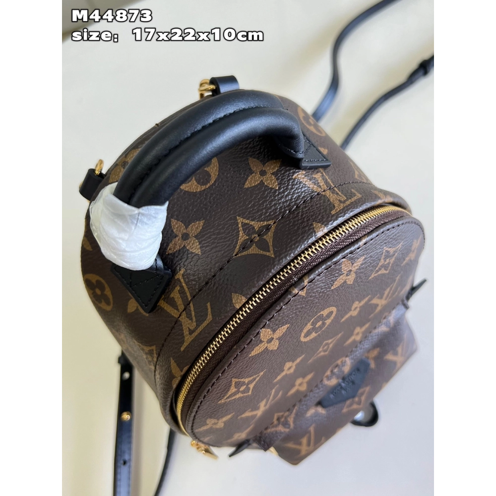 Louis Vuitton Palm Springs Mini Bags M44873 22X17X10cm,Louis Vuitton Bags
