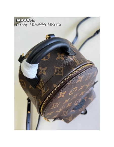 Louis Vuitton Palm Springs Mini Bags M44873 22X17X10cm,Louis Vuitton Bags