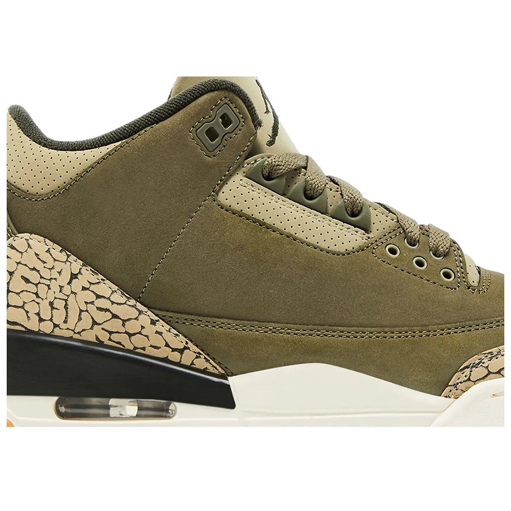 Air Jordan 3 Retro Family Affair,AIR JORDAN 3