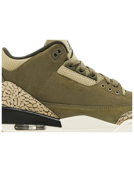 Air Jordan 3 Retro Family Affair,AIR JORDAN 3