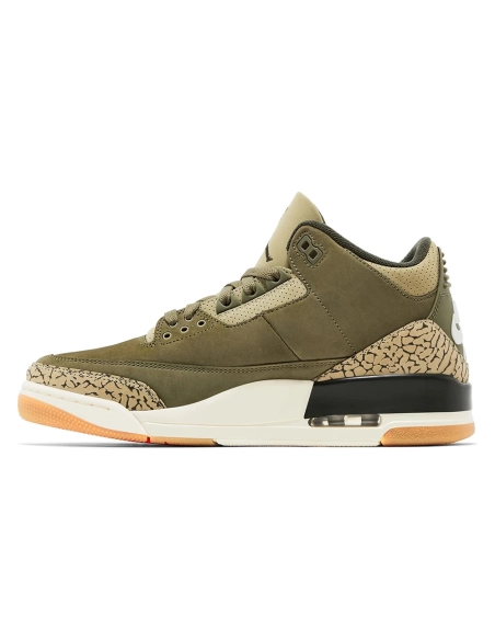 Air Jordan 3 Retro Family Affair,AIR JORDAN 3