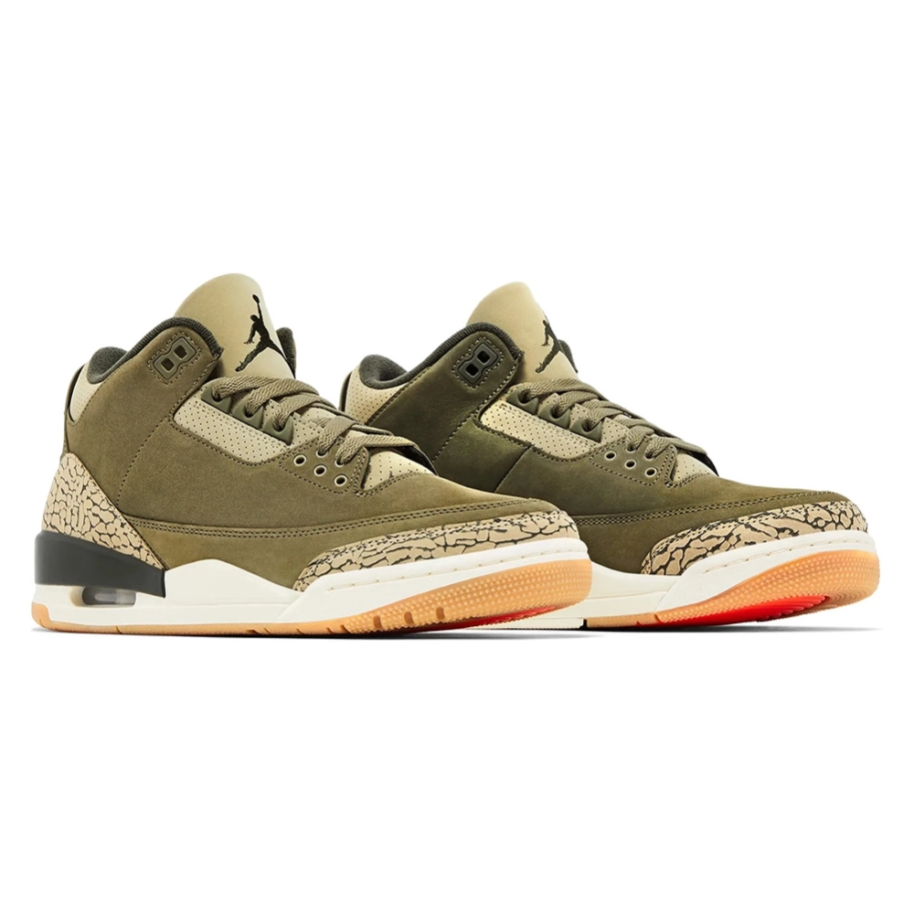 Air Jordan 3 Retro Family Affair,AIR JORDAN 3