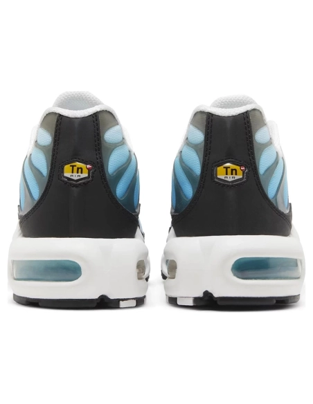 Nike Air Max Plus Baltic Blue,NIKE AIR MAX,NIKE SHOES Reps