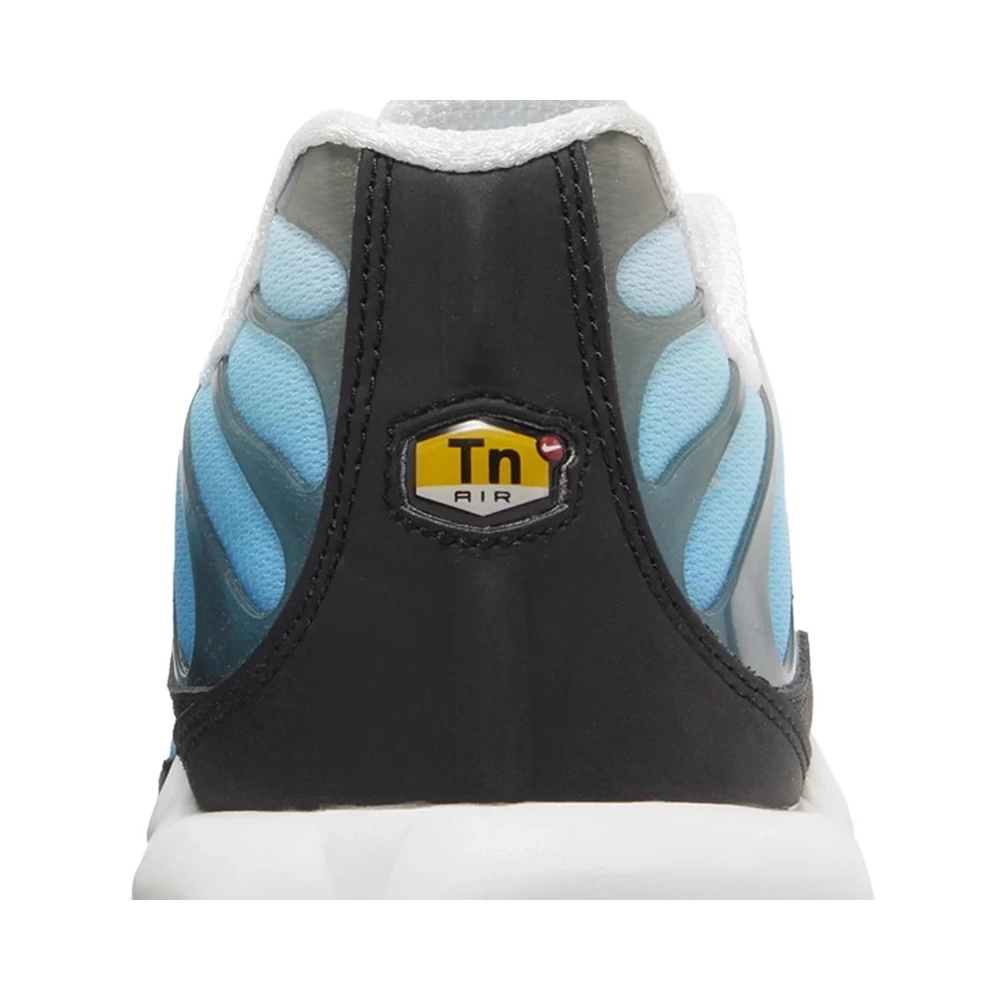 Nike Air Max Plus Baltic Blue,NIKE AIR MAX,NIKE SHOES Reps