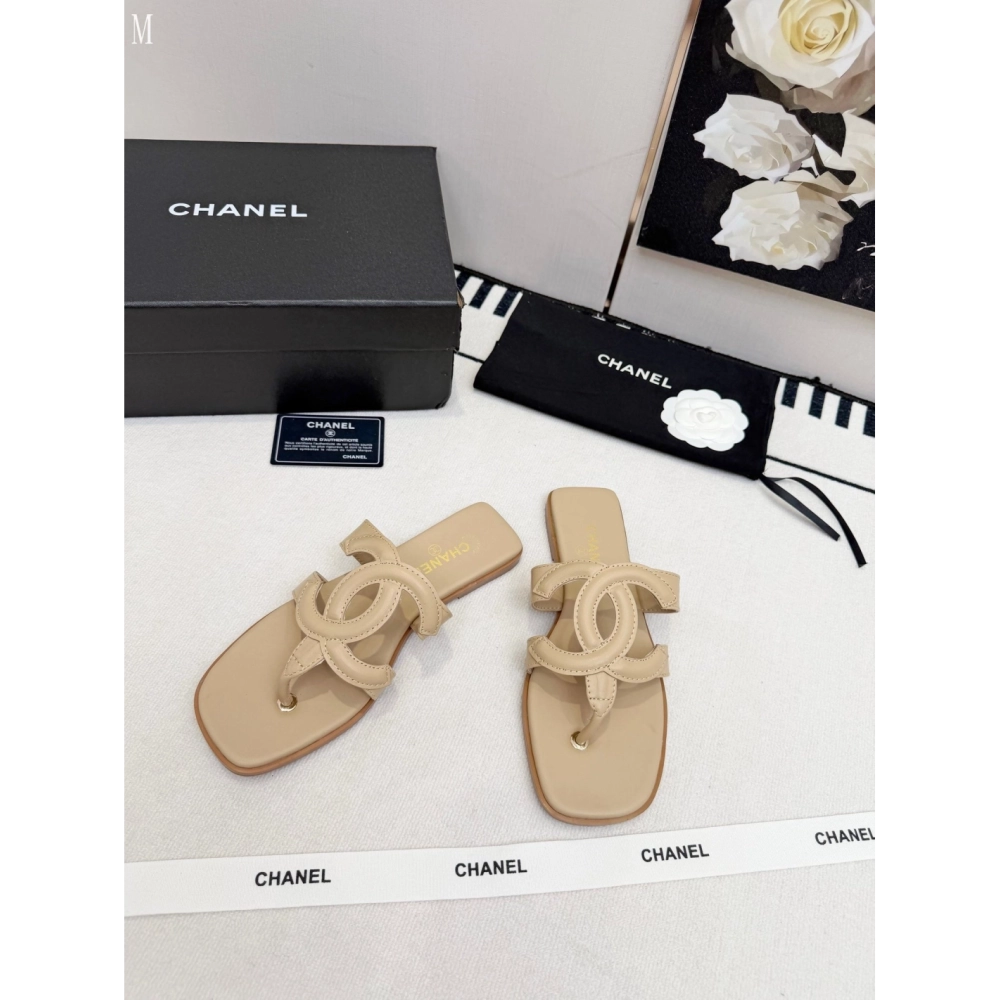 Chanel Slippers 144,Chanel Slippers,Slides Slippers,More Brands