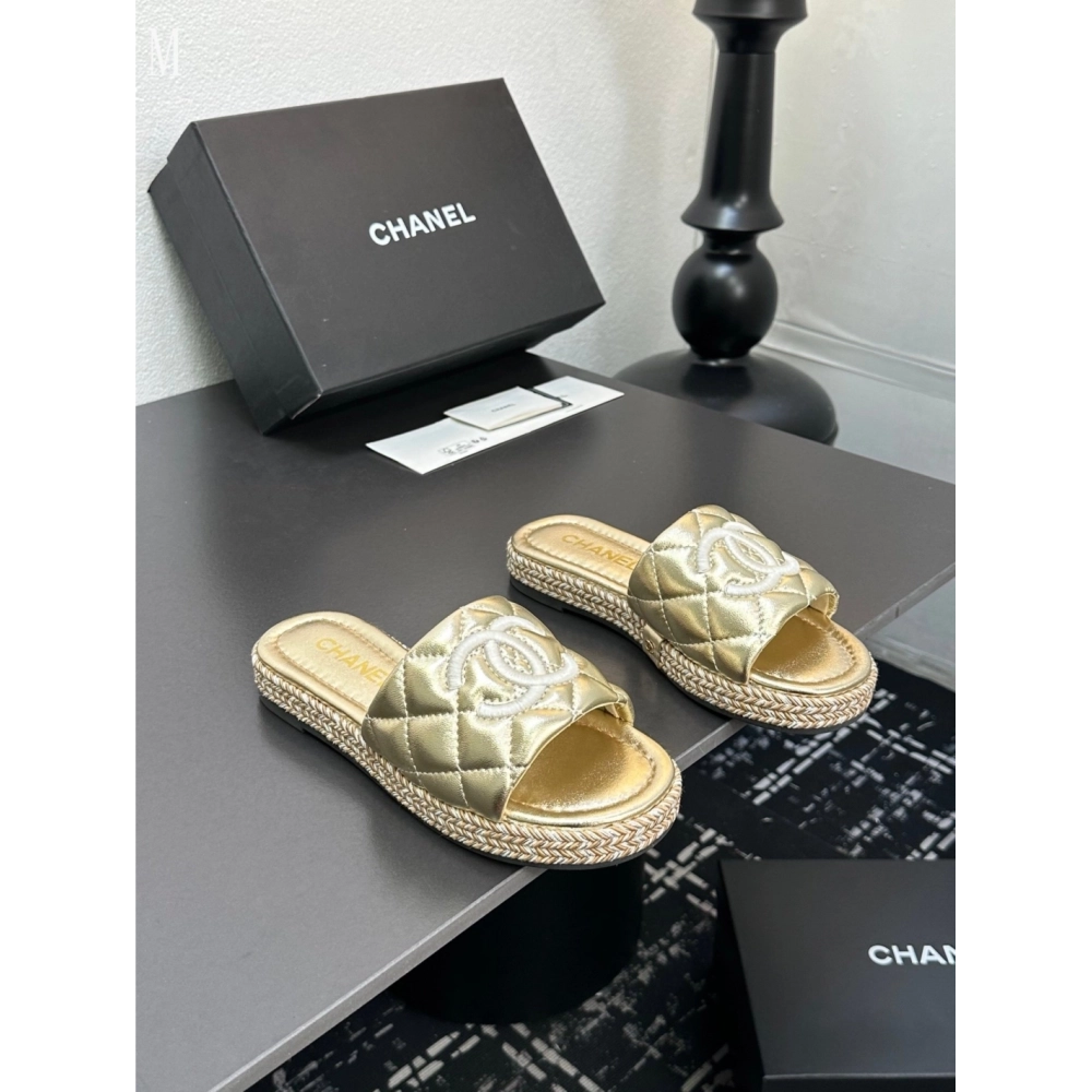 Chanel Slippers 100,Chanel Slippers,Slides Slippers,More Brands
