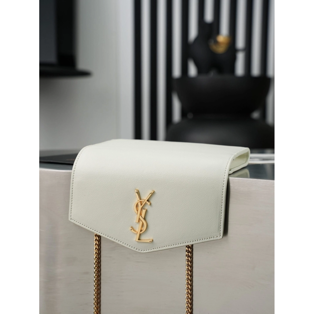 YSL Saint Laurent bags 607788-1 19X12X4cm,YSL Bags,BAGS