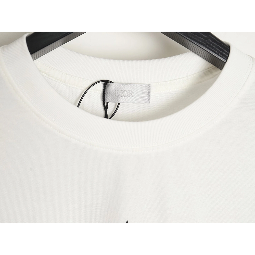 Dior classic vertical striped five-star short-sleeved T-shirt TSK1,All order with free shipping Dior