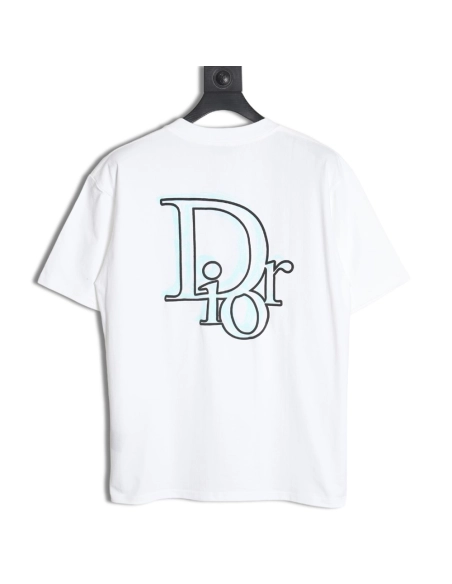 Dior 24ss light green graffiti logo short sleeve T-shirt,All order with free shipping Dior