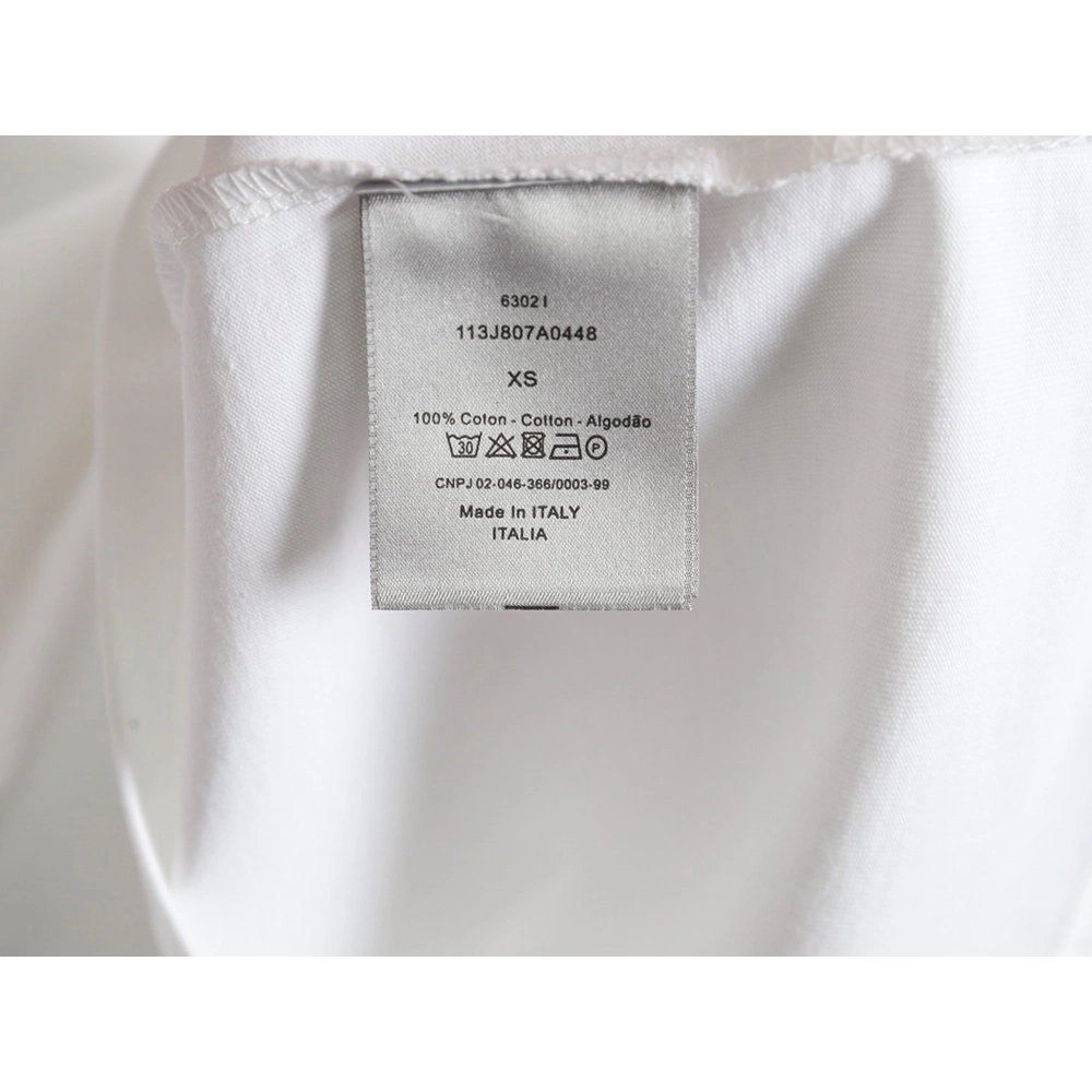 Dior 24ss light green graffiti logo short sleeve T-shirt,All order with free shipping Dior
