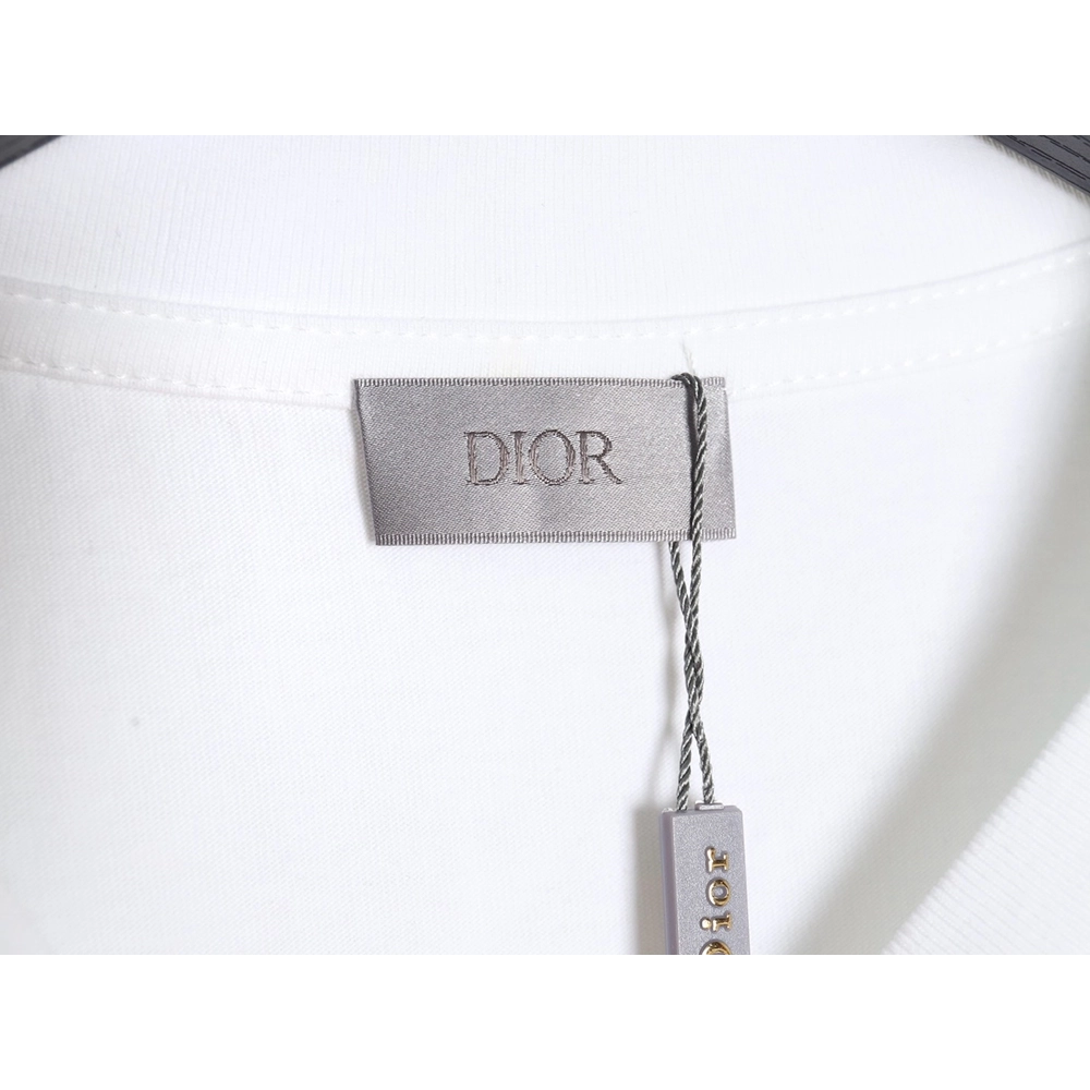 Dior 24ss light green graffiti logo short sleeve T-shirt,All order with free shipping Dior