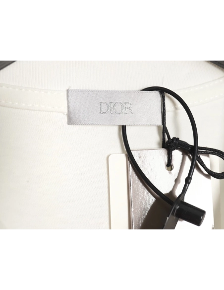 Dior new hand-painted letter short-sleeved T-shirt TSK1,All order with free shipping Dior