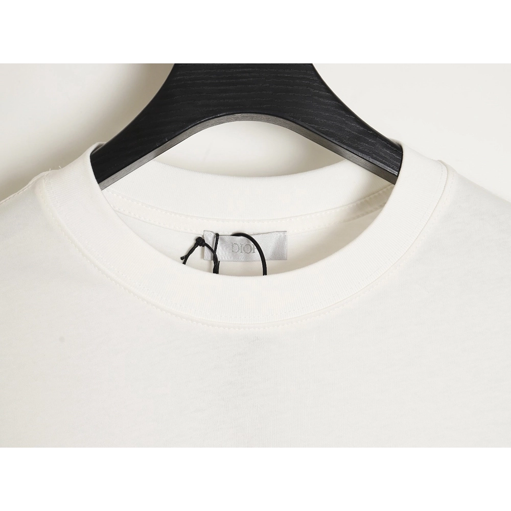 Dior 24SS logo pattern embroidered flocked letter T-shirt,All order with free shipping Dior