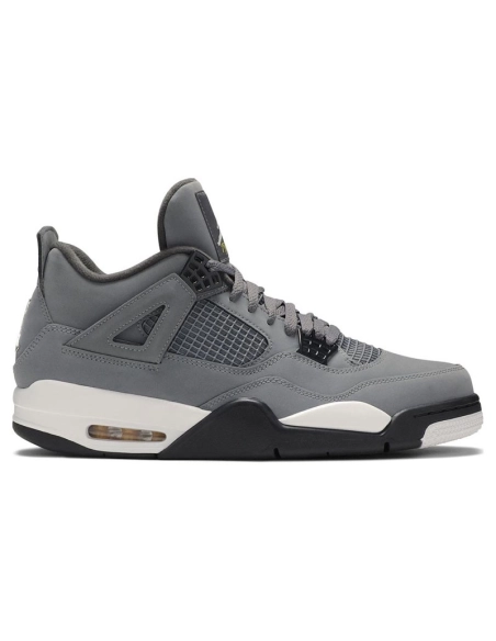 AIR JORDAN 4 RETRO COOL GREY 2019 308497 007,AIR JORDAN 4,Air Jordan