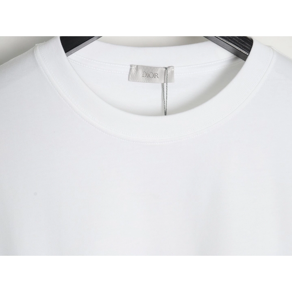Dior crew neck short sleeve T-shirt TSK2,All order with free shipping Dior