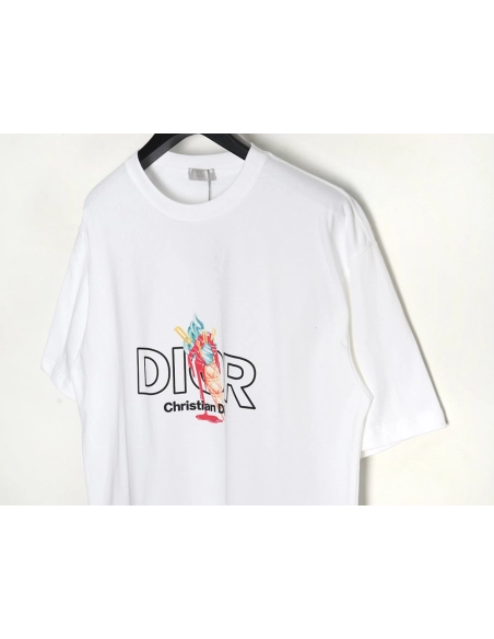 Dior crew neck short sleeve T-shirt TSK2,All order with free shipping Dior