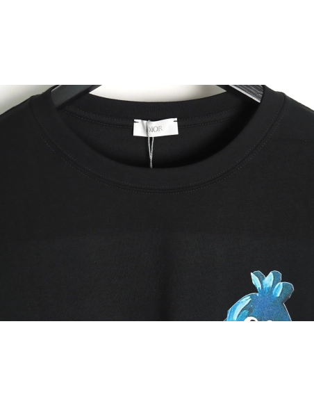 Dior crew neck short sleeve T-shirt TSK1,All order with free shipping Dior