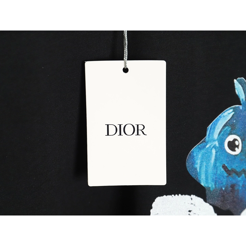 Dior crew neck short sleeve T-shirt TSK1,All order with free shipping Dior