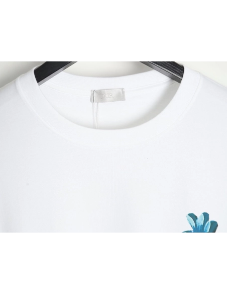Dior crew neck short sleeve T-shirt,All order with free shipping Dior