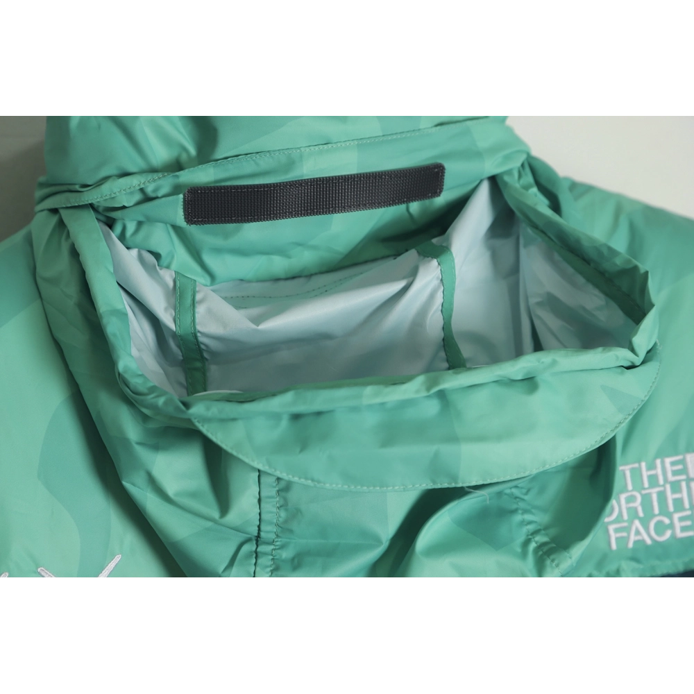 The North Face KAWS Joint 1996 American Edition Down Jacket TSK3,The North Face Jacket,Jacket,APPAREL