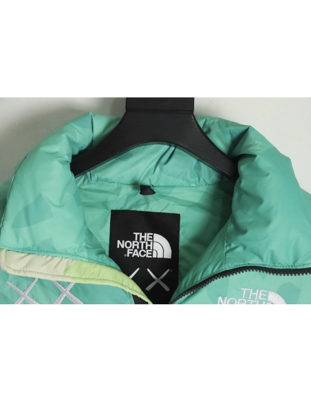 The North Face KAWS Joint 1996 American Edition Down Jacket TSK3,The North Face Jacket,Jacket,APPAREL