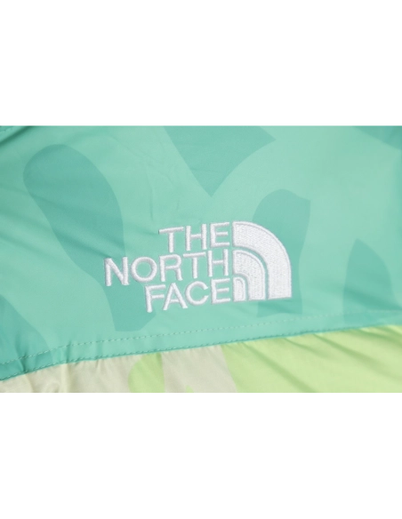 The North Face KAWS Joint 1996 American Edition Down Jacket TSK3,The North Face Jacket,Jacket,APPAREL