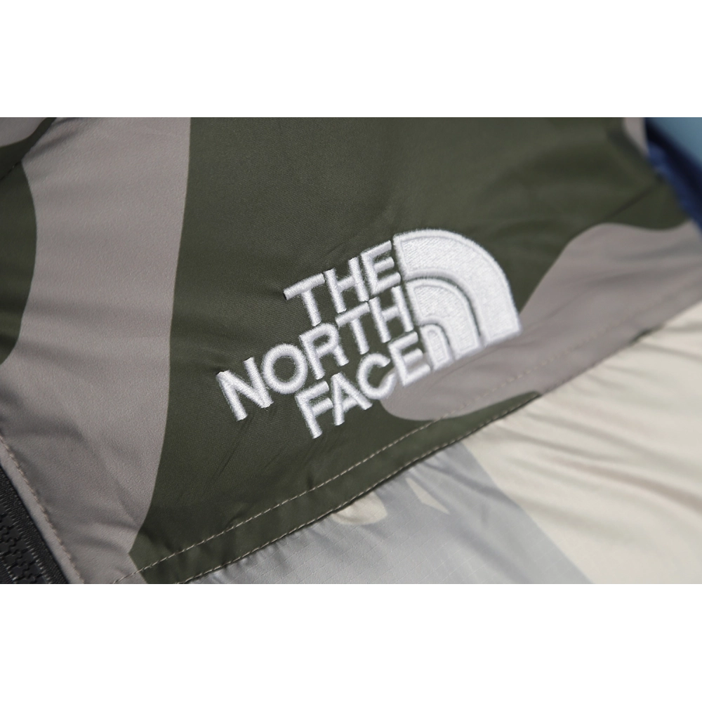 The North Face KAWS Joint 1996 American Edition Down Jacket TSK2,The North Face Jacket,Jacket,APPAREL