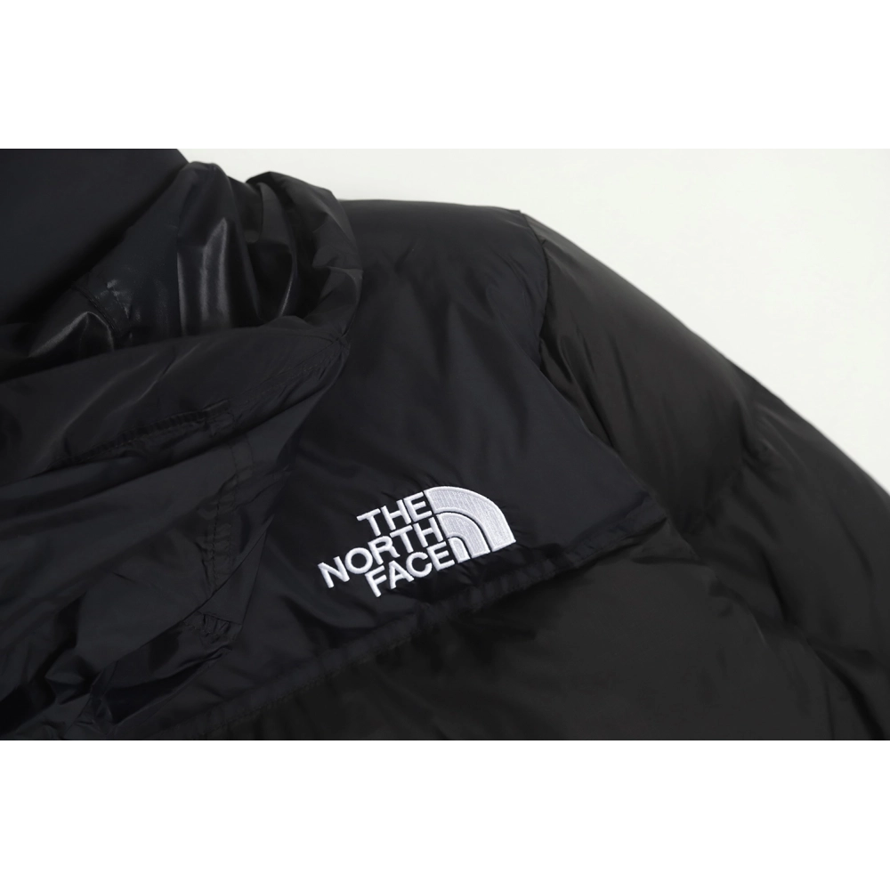 The North Face 1996 down jacket 5s version TSK9,The North Face Jacket,Jacket,APPAREL