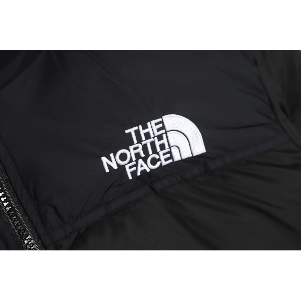 The North Face 1996 down jacket 5s version TSK9,The North Face Jacket,Jacket,APPAREL