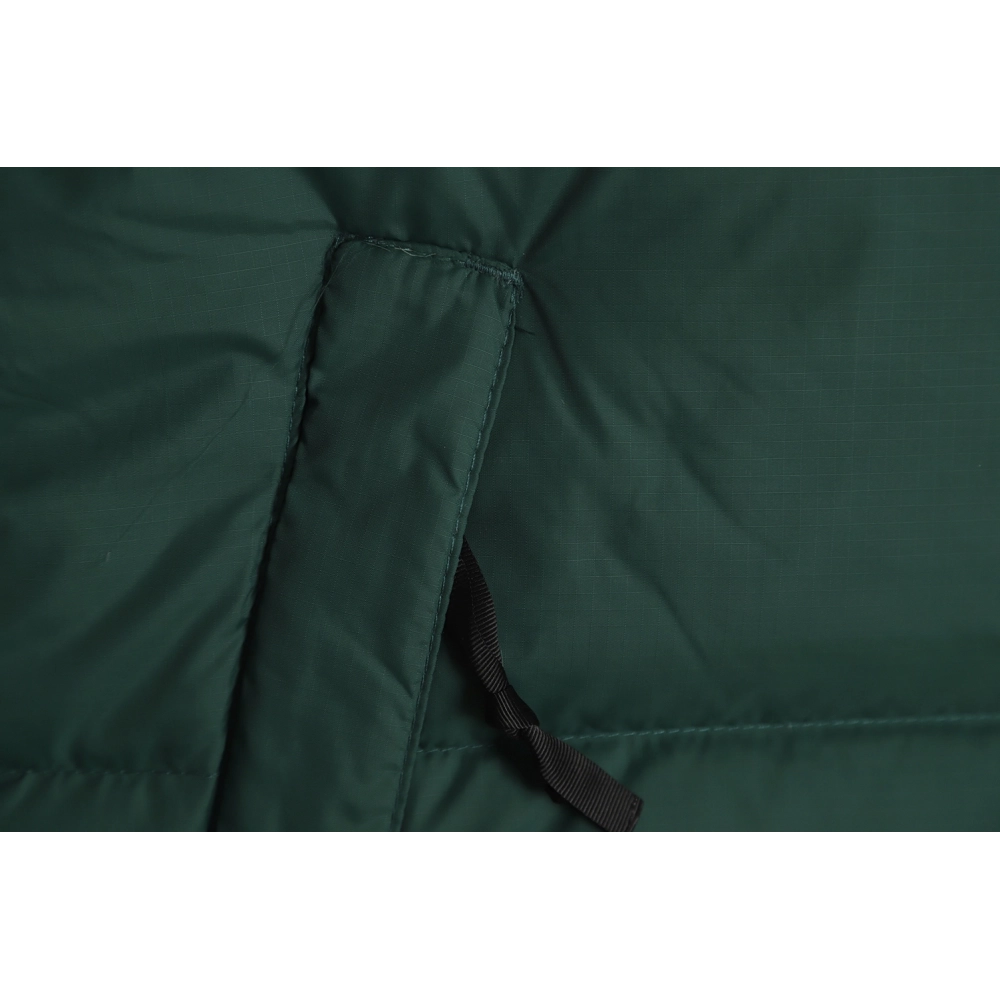 The North Face 1996 down jacket 5s version TSK6,The North Face Jacket,Jacket,APPAREL