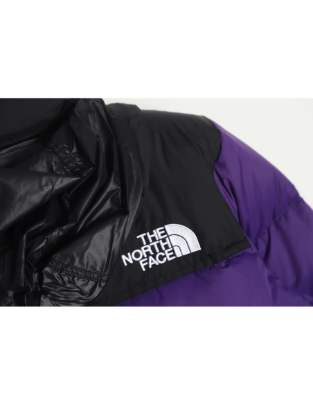 The North Face 1996 down jacket 5s version TSK4,The North Face Jacket,Jacket,APPAREL