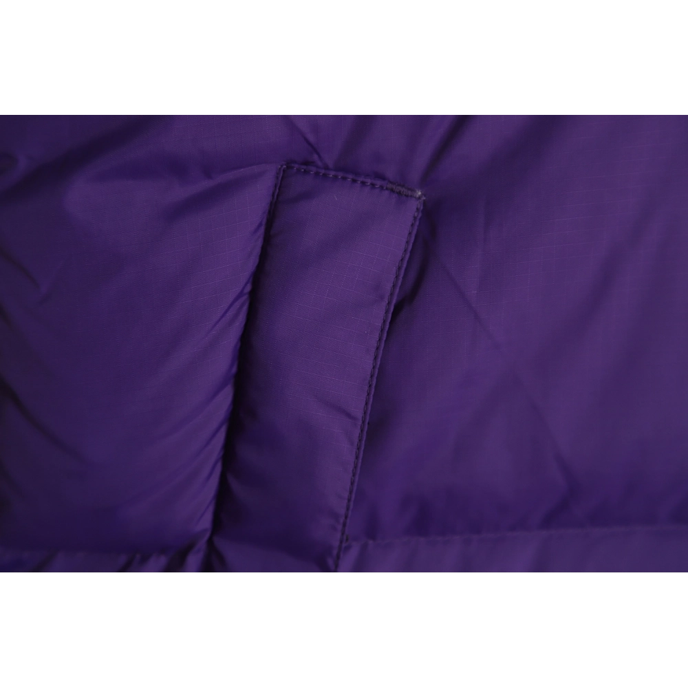 The North Face 1996 down jacket 5s version TSK4,The North Face Jacket,Jacket,APPAREL