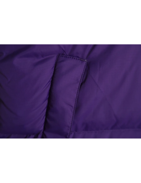 The North Face 1996 down jacket 5s version TSK4,The North Face Jacket,Jacket,APPAREL