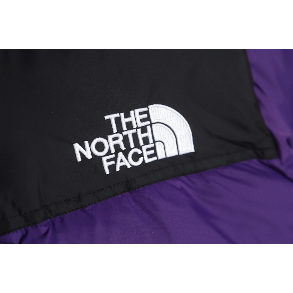 The North Face 1996 down jacket 5s version TSK4,The North Face Jacket,Jacket,APPAREL