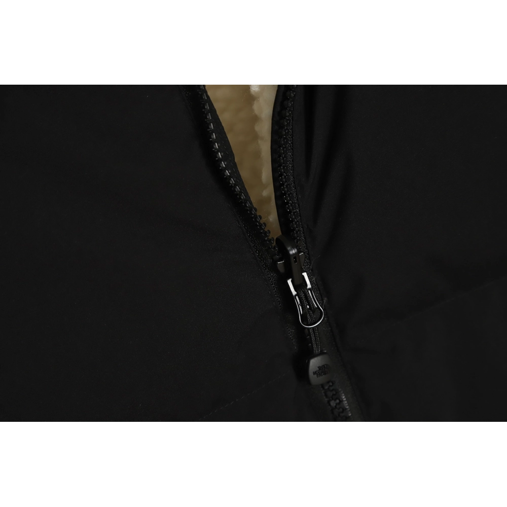 THE NORTH FACE FW21 down jacket with stand collar on both sides TSK2,The North Face Jacket,Jacket,APPAREL